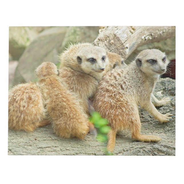 Familie der Fleischerkatzen - Notepad Notizblock (Vorderseite)