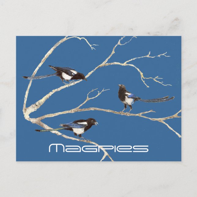 Familie der Magpies, Vögel, Natur, Wildtiere Postkarte (Vorderseite)