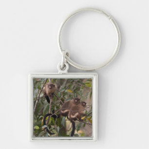 Familie der MarmosetAffen Schlüsselanhänger