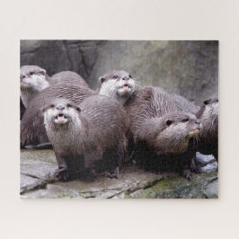 Familie der Otters