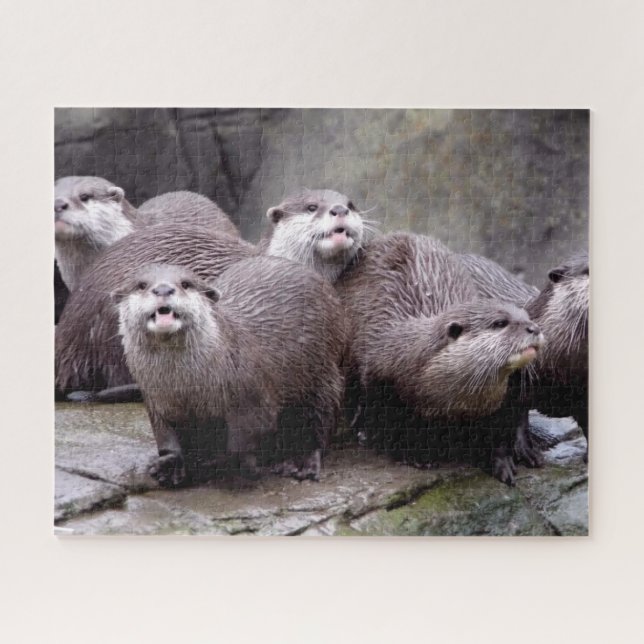 Familie der Otters (Horizontal)