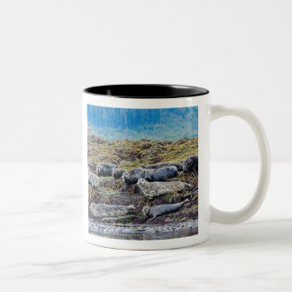 Familie der Seelöwen Zweifarbige Tasse