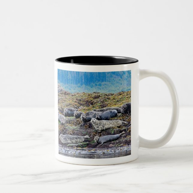Familie der Seelöwen Zweifarbige Tasse (Rechts)