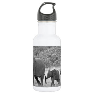 Familie der südafrikanischen Elefanten Trinkflasche