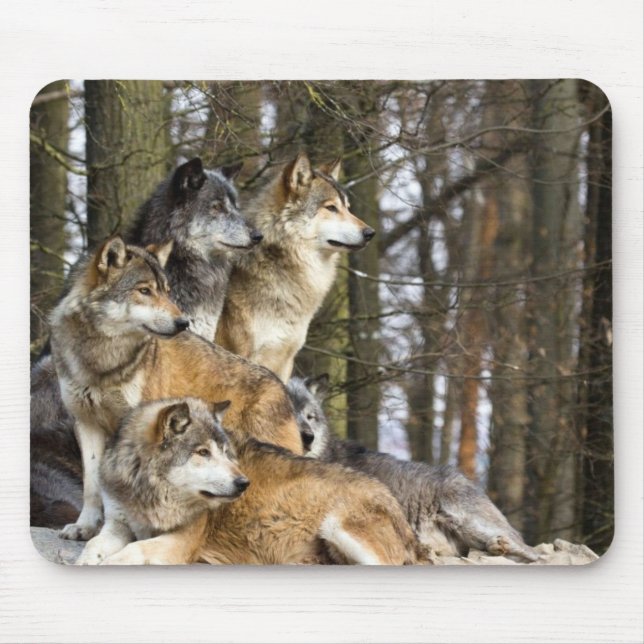 Familie der Wölfe Mousepad (Vorne)