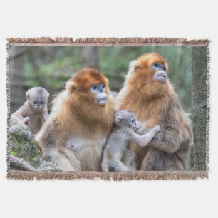 Familie des Goldenen Stumpfnasen-Affen Decke
