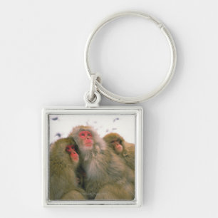 Familie des japanischen Macaque, Jigokudani, Schlüsselanhänger