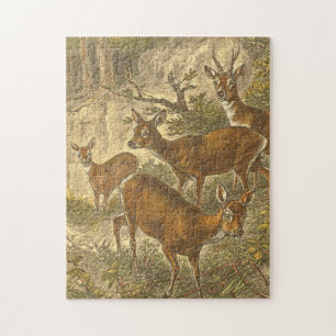 Familie des Rogens - Rotwild in einem Wald