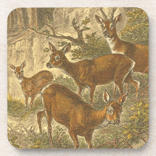 Familie des Rogens - Rotwild in einem Wald Getränkeuntersetzer