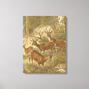 Familie des Rogens - Rotwild in einem Wald Leinwanddruck