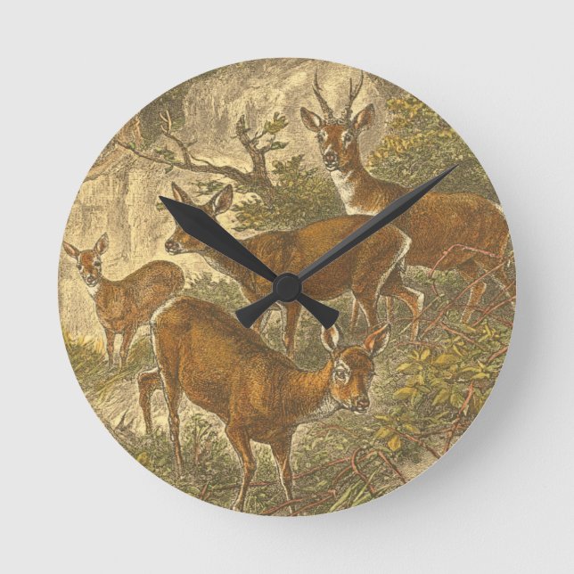 Familie des Rogens - Rotwild in einem Wald Runde Wanduhr (Vorderseite)