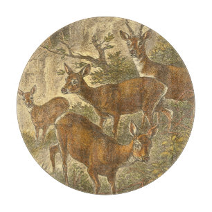 Familie des Rogens - Rotwild in einem Wald Schneidebrett