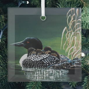 Familie des Sterntauchers am See - Wildnis Natur G Ornament Aus Glas