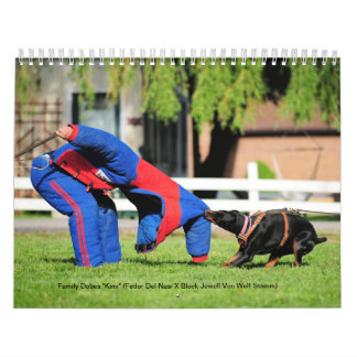 Familie Dobes Schutz-Kalender 2013 Kalender