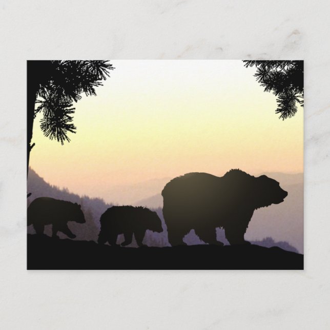 Familie Grizzly Postkarte (Vorderseite)