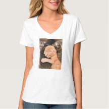 Familie ist alles, Kätzchen T-Shirt