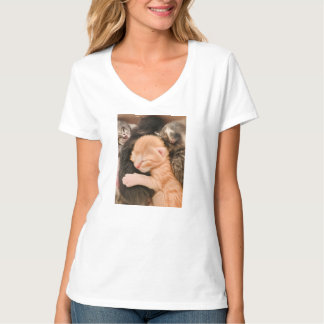 Familie ist alles, Kätzchen T-Shirt
