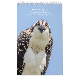 Familie Osprey 2026 Kalender