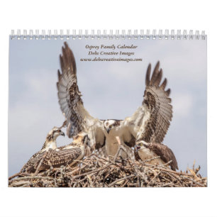 Familie Osprey 2026 Kalender
