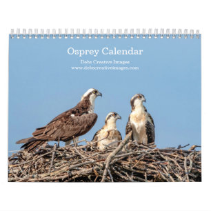 Familie Osprey 2026 Kalender