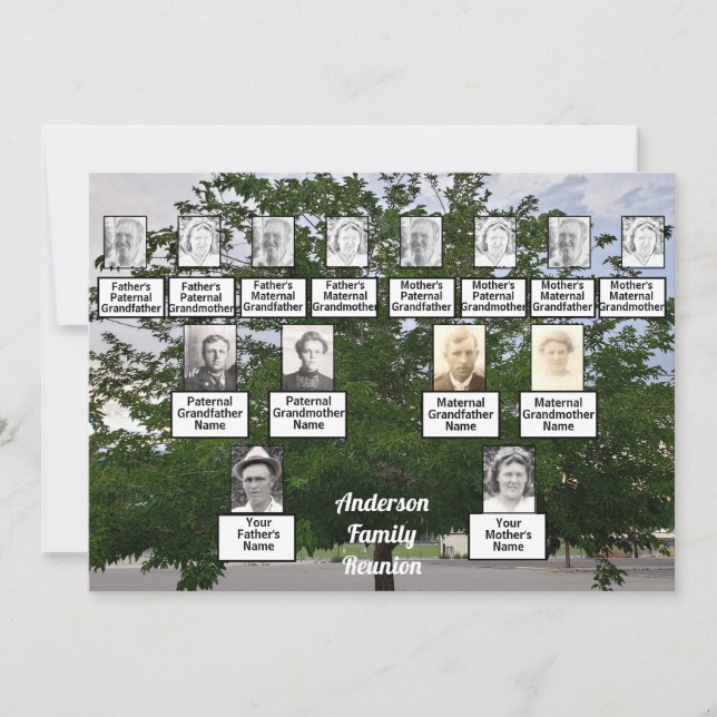 Familie Wiedersehen 3 Generation Sommerzeit Tree Einladung (Vorderseite)