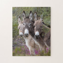 Familie Wild Burro