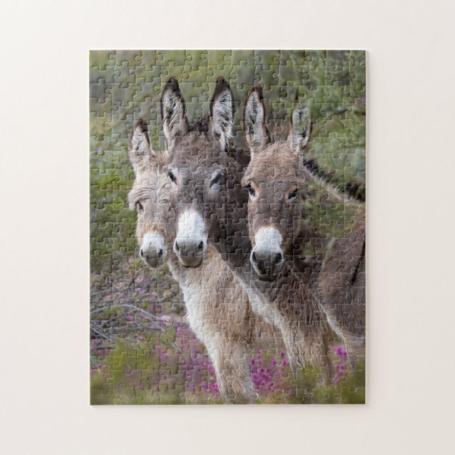 Familie Wild Burro (Vertikal)