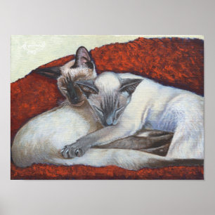"Familien-Nickerchen" Simaese Katzen-Kunstplakat Poster