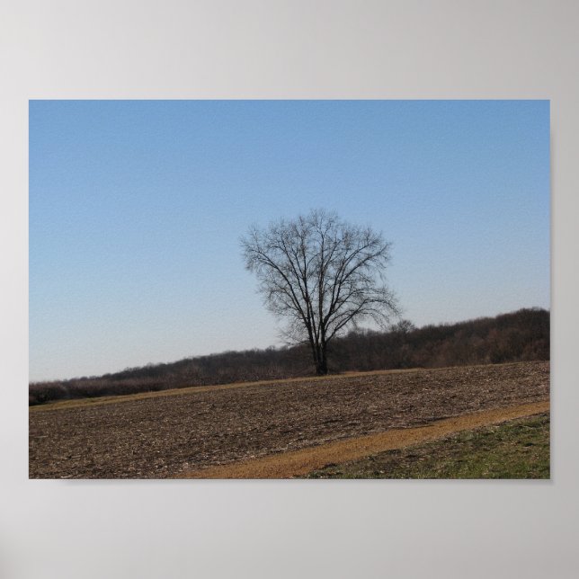 Familienbaum Poster (Vorne)