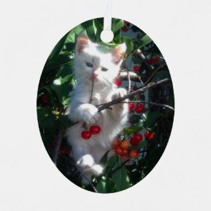 Familienkatzenfoto als Andenken Ornament Aus Metall