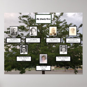 Familienstammbaum 3 Generationen Foto Namen Sommer Poster