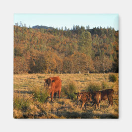 Familienzeit....... Magnet