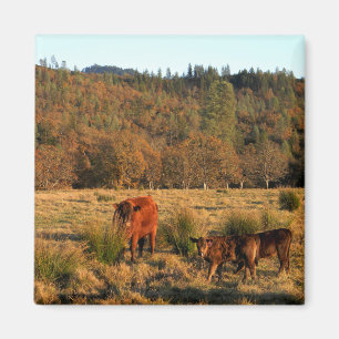 Familienzeit....... Magnet