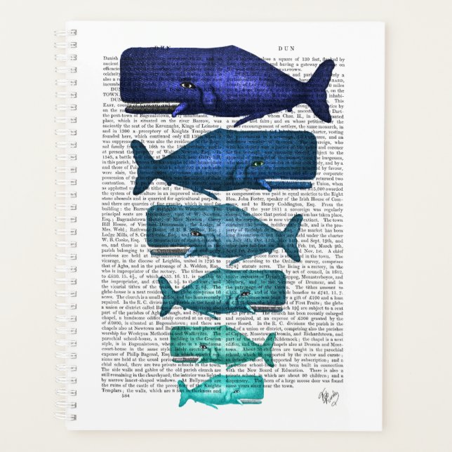 Famille Blue Whale (Devant)