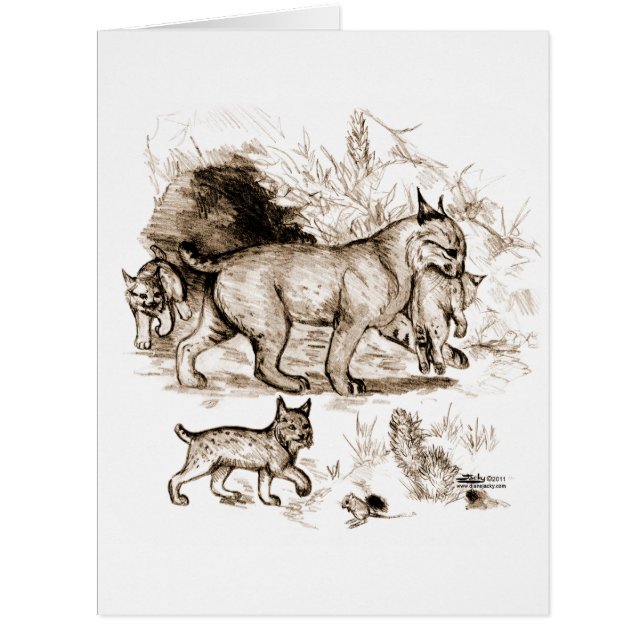 Famille Bobcat (Devant)