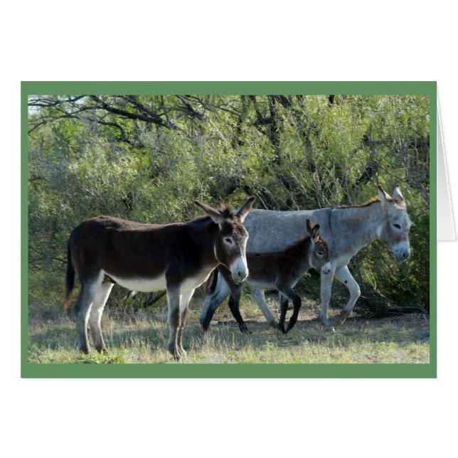 "Famille Burro" (Devant horizontal)