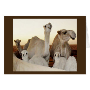 Famille Camel