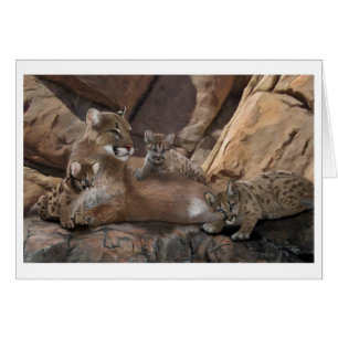 Famille Cougar