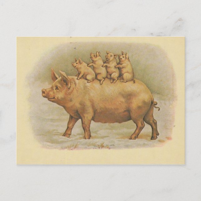 Famille de Cochon Postkarte (Vorderseite)