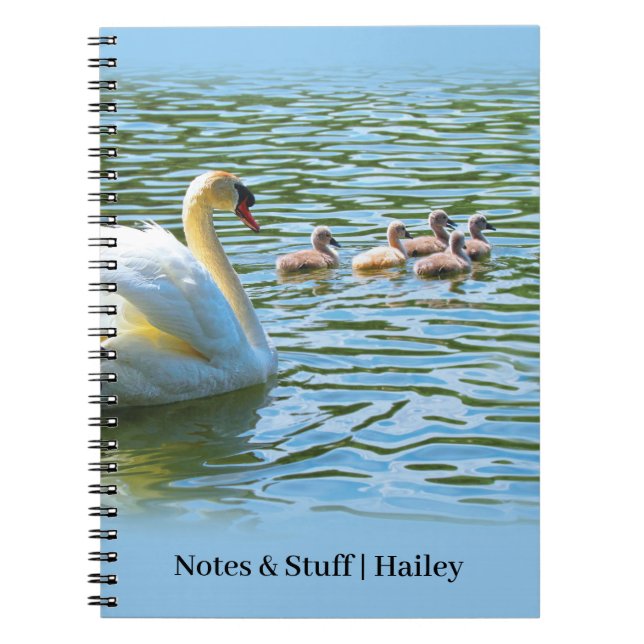 Famille de cygne sur le lac Bleu Carnet personnali (Devant)