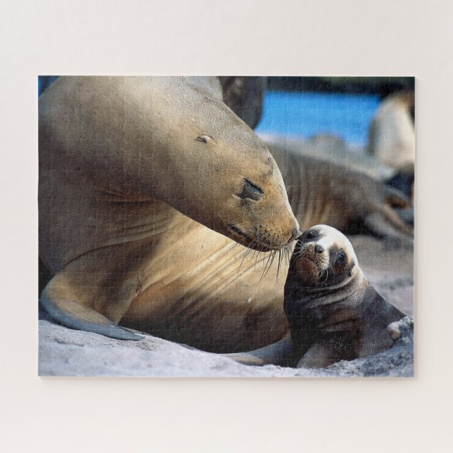 Famille de lions de mer, Puzzle de Jigsaw (Horizontal)