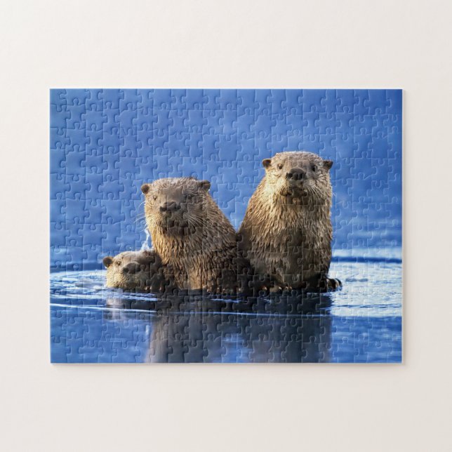 Famille de loutres de mer, Puzzle de Jigsaw (Horizontal)