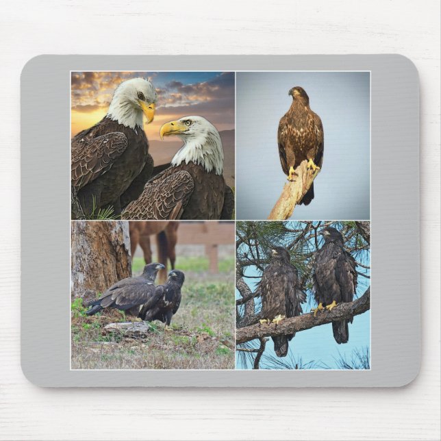 Famille Harriet, M115 d'aigle du tapis de souris (Devant)