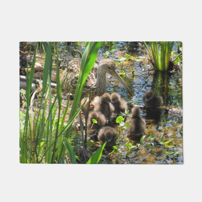Famille Limpkin - Maman et Chiche - Tapis de porte (Devant)