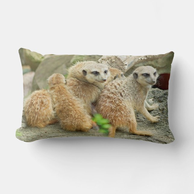 Famille Meerkats - coussin (Recto)