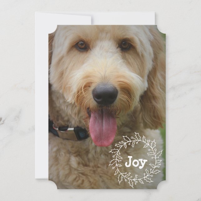 Famille ou Carte photo de vacances pour animaux (Devant)