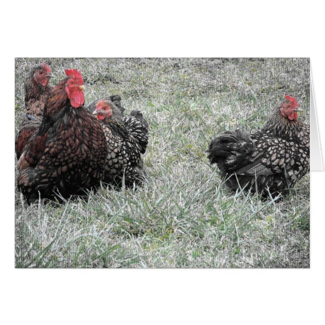 Famille soignée (Devant horizontal)