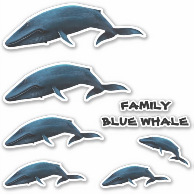 FAMILY BLAUE WALE AUFKLEBER (Vorderseite)