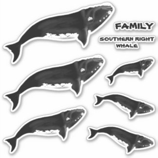 FAMILY SOUTHERRIGHT RIGHT WHALE AUFKLEBER