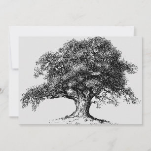 Family Tree Herkunft Wiedersehen Party Grau Ankündigung